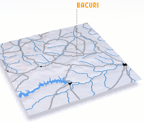 3d view of Bacuri