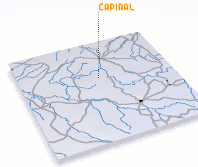 3d view of Capinal