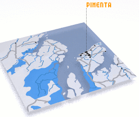 3d view of Pimenta