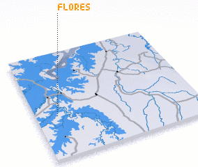 3d view of Flores