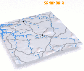 3d view of Samambaia