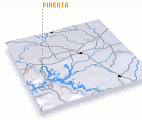 3d view of Pimenta