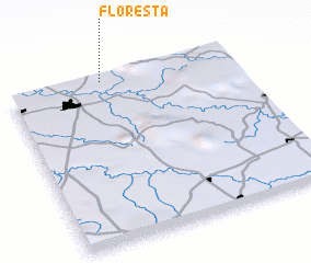 3d view of Floresta