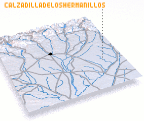 3d view of Calzadilla de los Hermanillos