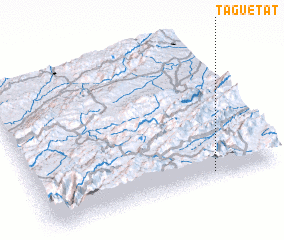 3d view of Taguetat