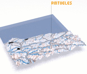 3d view of Pintueles