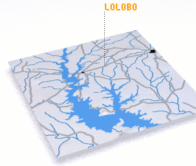 3d view of Lolobo