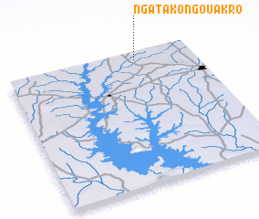 3d view of Ngata-Kongouakro