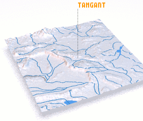 3d view of Tamgant