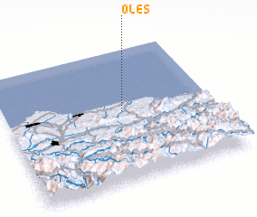 3d view of Oles