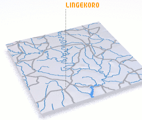 3d view of Lingékoro