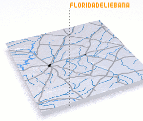 3d view of Florida de Liébana