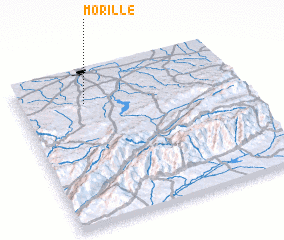 3d view of Morille