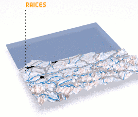 3d view of Raíces