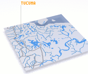3d view of Tucumã