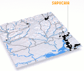 3d view of Sapucaia