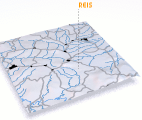 3d view of Reis