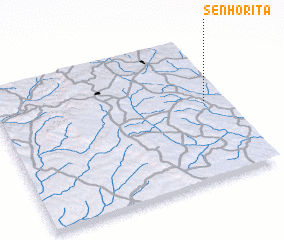 3d view of Senhorita