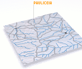 3d view of Paulicéia
