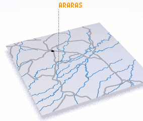 3d view of Araras