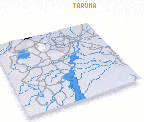 3d view of Tarumá