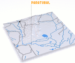 3d view of Paratubal