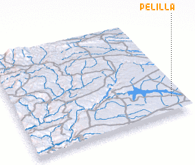 3d view of Pelilla