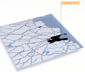3d view of Sea Mount