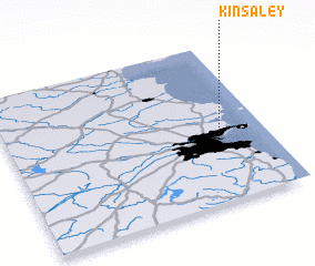 3d view of Kinsaley