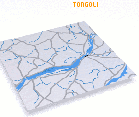 3d view of Tongoli