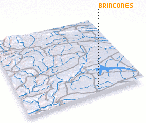 3d view of Brincones