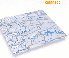 3d view of Carrasco