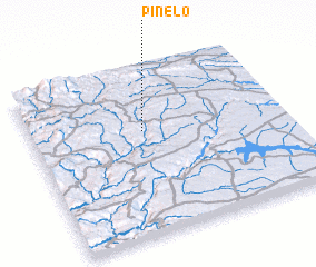 3d view of Pinelo