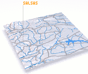 3d view of Salsas