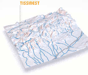 3d view of Tissinest
