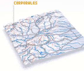 3d view of Corporales