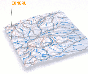 3d view of Comeal