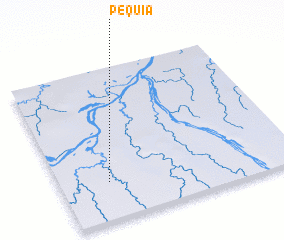 3d view of Pequiá