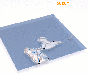 3d view of Surgy