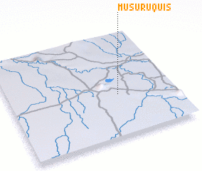 3d view of Musuruquis