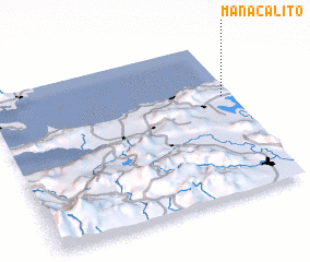 3d view of Manacalito