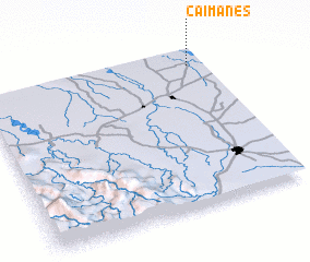 3d view of Caimanes