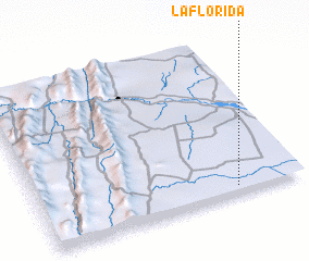 3d view of La Florida