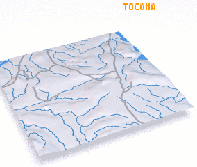 3d view of Tocoma