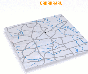 3d view of Carabajal