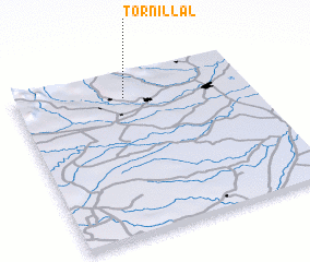 3d view of Tornillal