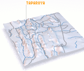 3d view of Taparoya