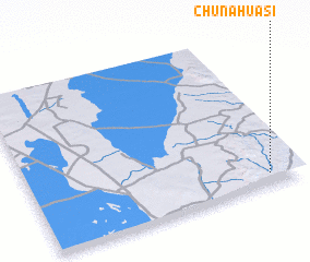 3d view of Chuña Huasi