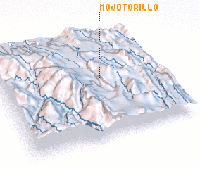 3d view of Mojotorillo