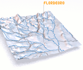 3d view of Flor de Oro